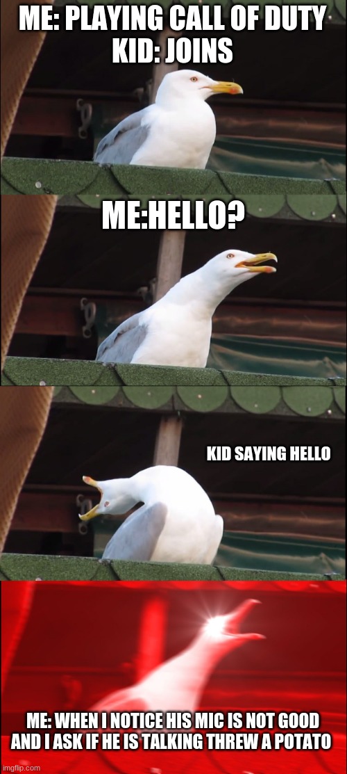 This always happens in someones game | ME: PLAYING CALL OF DUTY
KID: JOINS; ME:HELLO? KID SAYING HELLO; ME: WHEN I NOTICE HIS MIC IS NOT GOOD AND I ASK IF HE IS TALKING THREW A POTATO | image tagged in memes,inhaling seagull | made w/ Imgflip meme maker