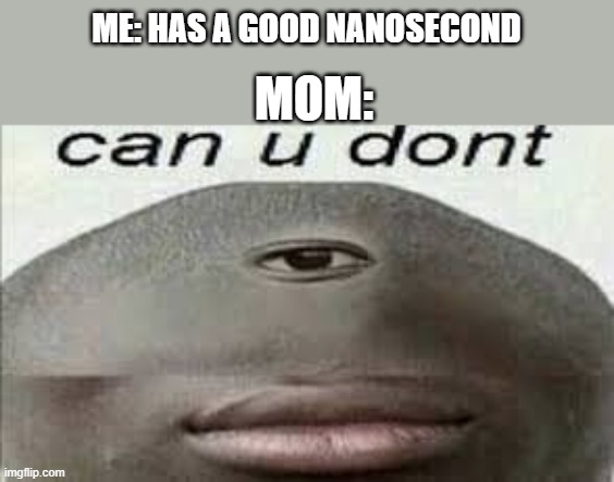 can you dont | ME: HAS A GOOD NANOSECOND; MOM: | image tagged in can you dont | made w/ Imgflip meme maker