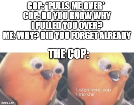 LOLOLOLOLOLOLOLOLOLOL | COP: *PULLS ME OVER* 
COP: DO YOU KNOW WHY I PULLED YOU OVER?
ME: WHY? DID YOU FORGET ALREADY; THE COP: | image tagged in listen here you little shit bird,oh wow are you actually reading these tags | made w/ Imgflip meme maker