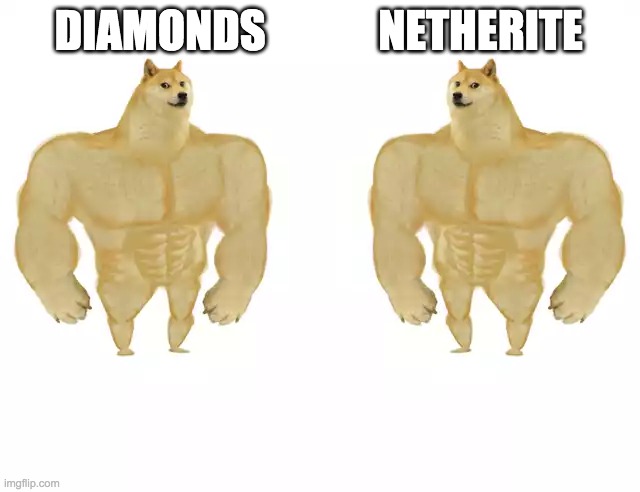 Buff Doge vs Buff Doge | DIAMONDS; NETHERITE | image tagged in buff doge vs buff doge | made w/ Imgflip meme maker
