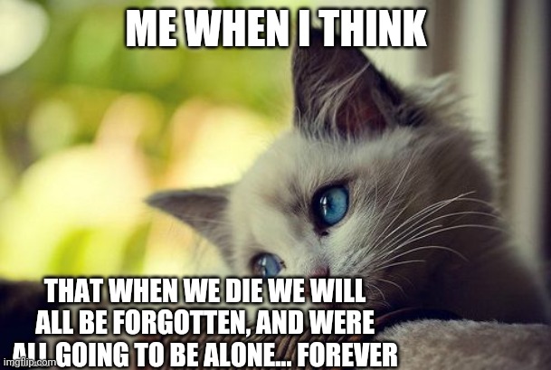 My emotions | ME WHEN I THINK; THAT WHEN WE DIE WE WILL ALL BE FORGOTTEN, AND WERE ALL GOING TO BE ALONE... FOREVER | image tagged in memes,first world problems cat,sad,death | made w/ Imgflip meme maker