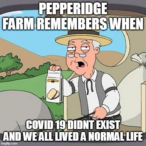 everything is just dark and gloomy now... | PEPPERIDGE FARM REMEMBERS WHEN; COVID 19 DIDNT EXIST AND WE ALL LIVED A NORMAL LIFE | image tagged in memes,pepperidge farm remembers,lol,haha,nostalgia,covid-19 | made w/ Imgflip meme maker