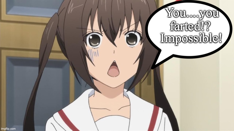 Surprised anime |  You....you farted!? Impossible! | image tagged in surprised anime | made w/ Imgflip meme maker