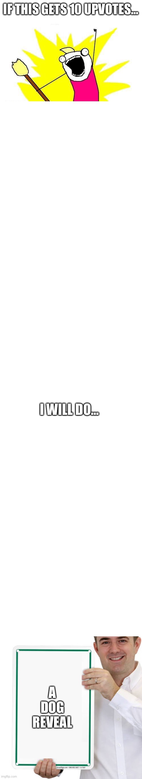 Yes | IF THIS GETS 10 UPVOTES…; I WILL DO…; A DOG REVEAL | image tagged in memes,x all the y,blank white template,guy holding sign | made w/ Imgflip meme maker