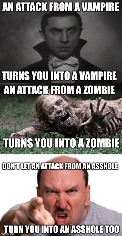 An attack from a vampire | AN ATTACK FROM A VAMPIRE; TURNS YOU INTO A VAMPIRE; AN ATTACK FROM A ZOMBIE; TURNS YOU INTO A ZOMBIE; DON'T LET AN ATTACK FROM AN ASSHOLE; TURN YOU INTO AN ASSHOLE TOO | image tagged in og vampire,walking dead zombie,angry man pointing,funny,memes | made w/ Imgflip meme maker