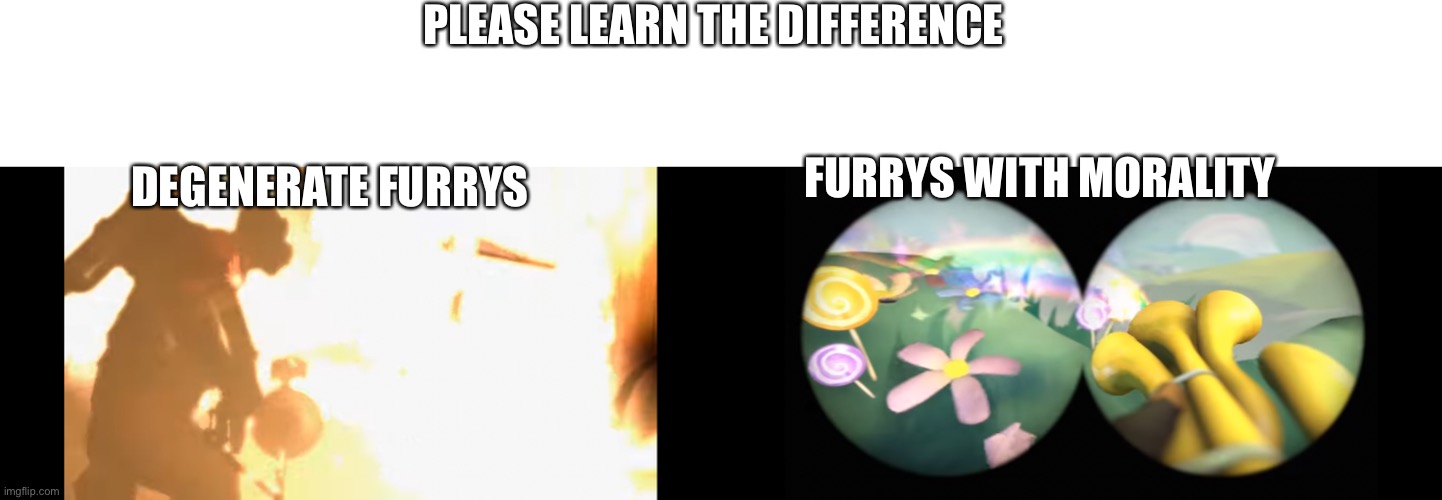 Learn the difference between furrys | PLEASE LEARN THE DIFFERENCE; DEGENERATE FURRYS; FURRYS WITH MORALITY | image tagged in furry memes,tf2,pyro,learning | made w/ Imgflip meme maker