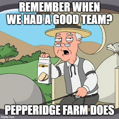 good team | REMEMBER WHEN WE HAD A GOOD TEAM? PEPPERIDGE FARM DOES | image tagged in memes,pepperidge farm remembers | made w/ Imgflip meme maker