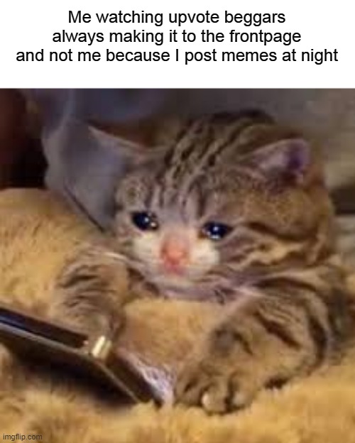 why, imgflip, why? | Me watching upvote beggars always making it to the frontpage and not me because I post memes at night | image tagged in sad cat looking at phone | made w/ Imgflip meme maker