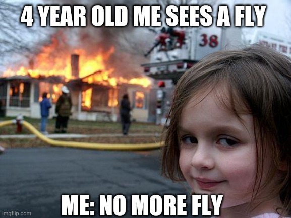 Disaster Girl Meme | 4 YEAR OLD ME SEES A FLY; ME: NO MORE FLY | image tagged in memes,disaster girl | made w/ Imgflip meme maker