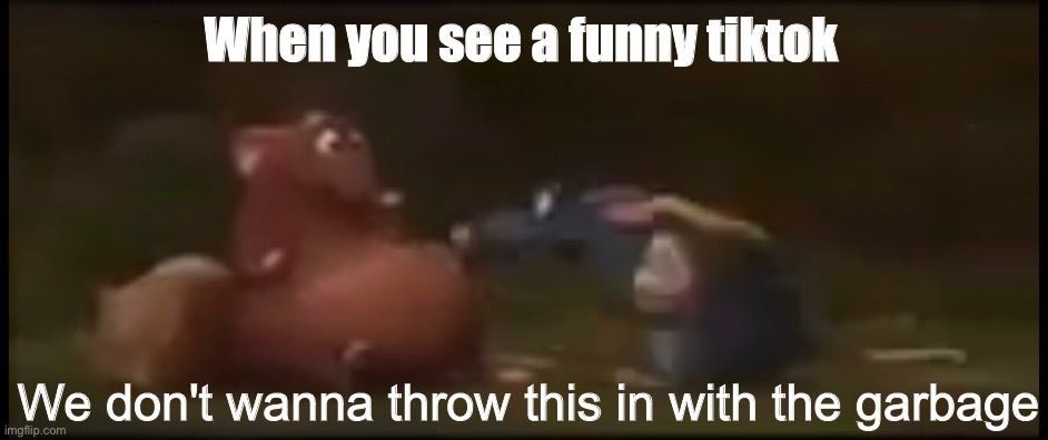 Not with the garbage | When you see a funny tiktok | image tagged in not with the garbage | made w/ Imgflip meme maker