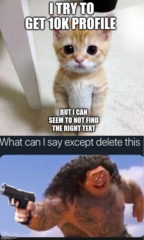WHat Can I SaY exept DeLte dis! | I TRY TO GET 10K PROFILE; BUT I CAN SEEM TO NOT FIND THE RIGHT TEXT | image tagged in memes,cute cat,i have no idea what i am doing,fnaf 3 | made w/ Imgflip meme maker