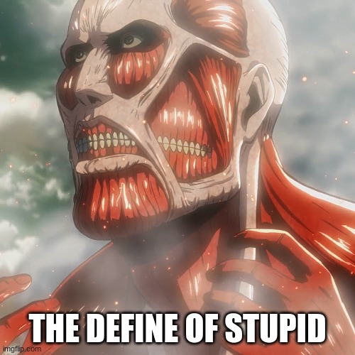  THE DEFINE OF STUPID | made w/ Imgflip meme maker
