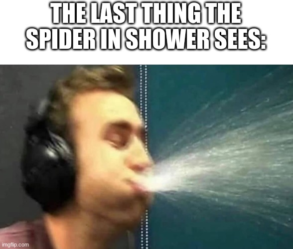 Water cannon ready.. aim.. fire! | THE LAST THING THE SPIDER IN SHOWER SEES: | image tagged in funny,relatable,spider,shower | made w/ Imgflip meme maker