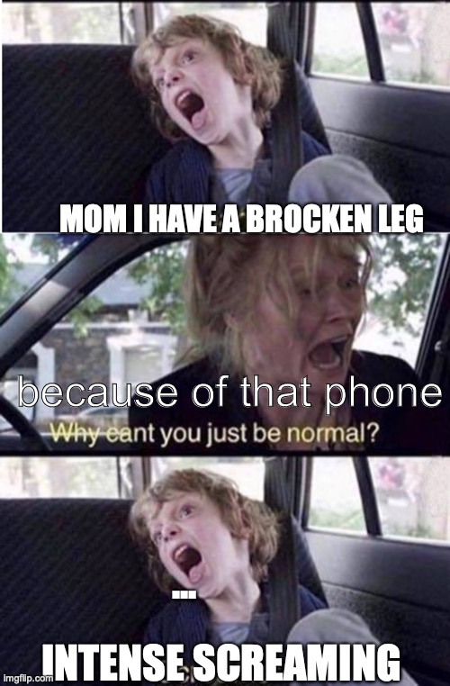 b.r.u.h. | MOM I HAVE A BROCKEN LEG; because of that phone; ... INTENSE SCREAMING | image tagged in memes | made w/ Imgflip meme maker