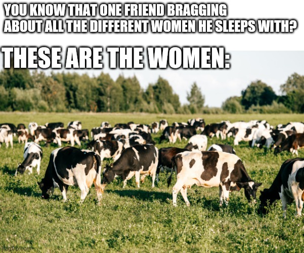 Dude can keep the whole herd | YOU KNOW THAT ONE FRIEND BRAGGING ABOUT ALL THE DIFFERENT WOMEN HE SLEEPS WITH? THESE ARE THE WOMEN: | image tagged in cows,sexual narcissism,really fat girl,oof,too funny,too true | made w/ Imgflip meme maker