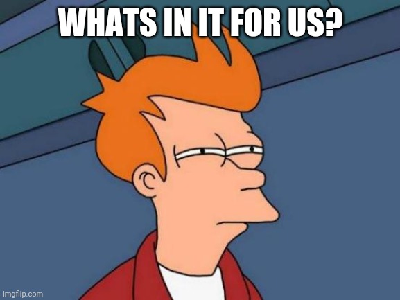 Futurama Fry Meme | WHATS IN IT FOR US? | image tagged in memes,futurama fry | made w/ Imgflip meme maker