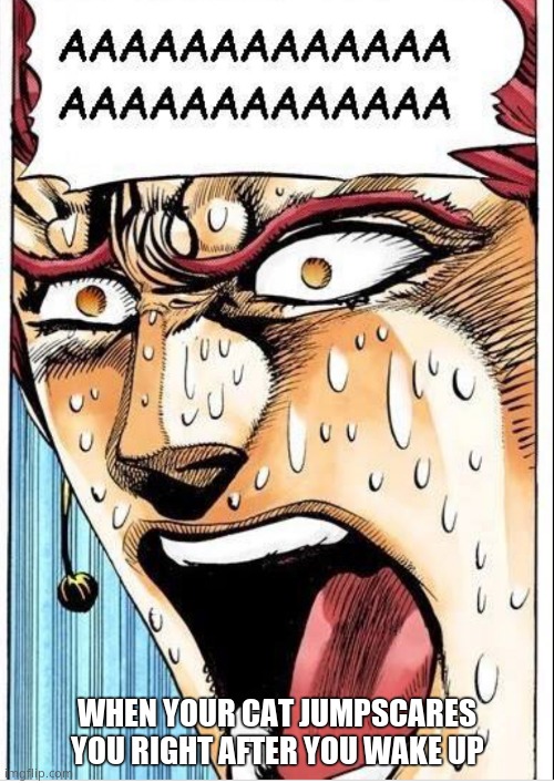 This has happened too much | WHEN YOUR CAT JUMPSCARES YOU RIGHT AFTER YOU WAKE UP | image tagged in kakyoin screaming | made w/ Imgflip meme maker