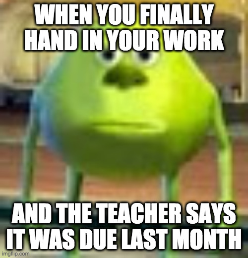 mike mem | WHEN YOU FINALLY HAND IN YOUR WORK; AND THE TEACHER SAYS IT WAS DUE LAST MONTH | image tagged in sully wazowski | made w/ Imgflip meme maker