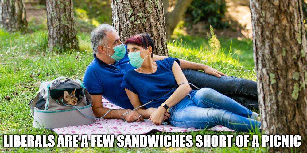 Stupid Liberals | LIBERALS ARE A FEW SANDWICHES SHORT OF A PICNIC | image tagged in stupid liberals | made w/ Imgflip meme maker