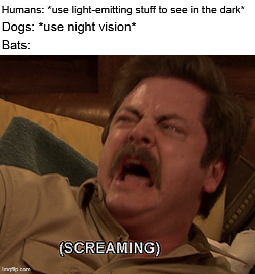 AAAAAAAAAAAAAAA | Humans: *use light-emitting stuff to see in the dark*; Dogs: *use night vision*; Bats: | image tagged in ron swanson screaming | made w/ Imgflip meme maker