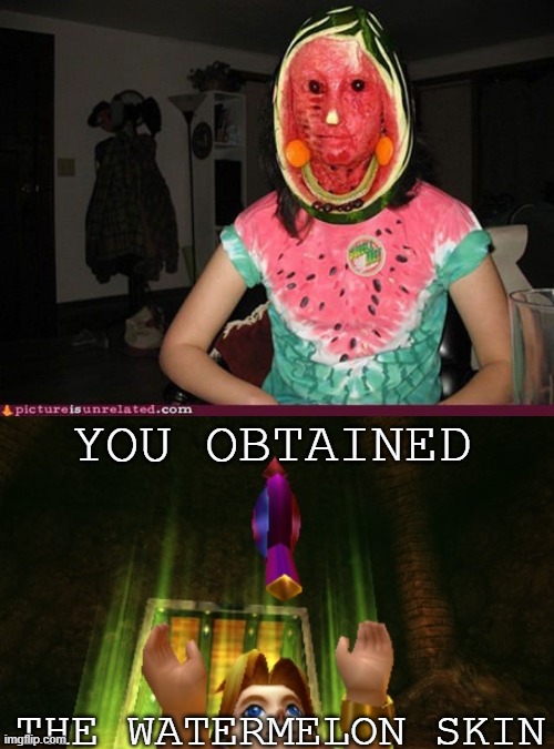 you obtained a new skin | YOU OBTAINED; THE WATERMELON SKIN | image tagged in zelda item | made w/ Imgflip meme maker
