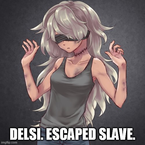 DELSI. ESCAPED SLAVE. | made w/ Imgflip meme maker