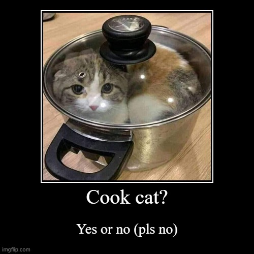 Cook cat? | image tagged in funny,demotivationals | made w/ Imgflip demotivational maker