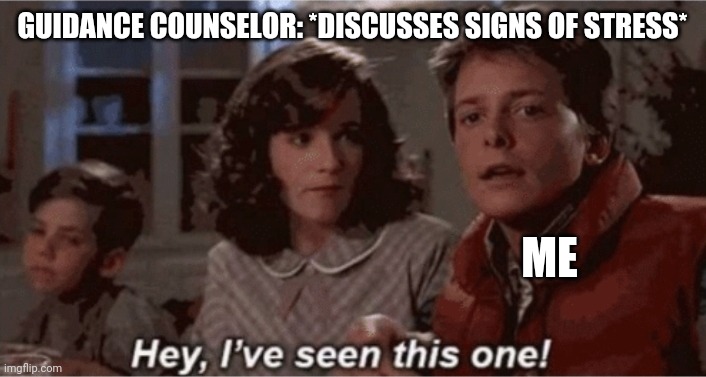 School Was So Stressful This Year | GUIDANCE COUNSELOR: *DISCUSSES SIGNS OF STRESS*; ME | image tagged in hey i've seen this one | made w/ Imgflip meme maker