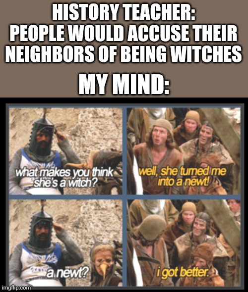 I Was Trying So Hard To Not Laugh | HISTORY TEACHER: PEOPLE WOULD ACCUSE THEIR NEIGHBORS OF BEING WITCHES; MY MIND: | image tagged in monty python and the holy grail,she's a witch | made w/ Imgflip meme maker