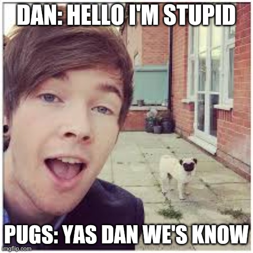 DanTDM is awesome | DAN: HELLO I'M STUPID; PUGS: YAS DAN WE'S KNOW | image tagged in dantdm is awesome | made w/ Imgflip meme maker