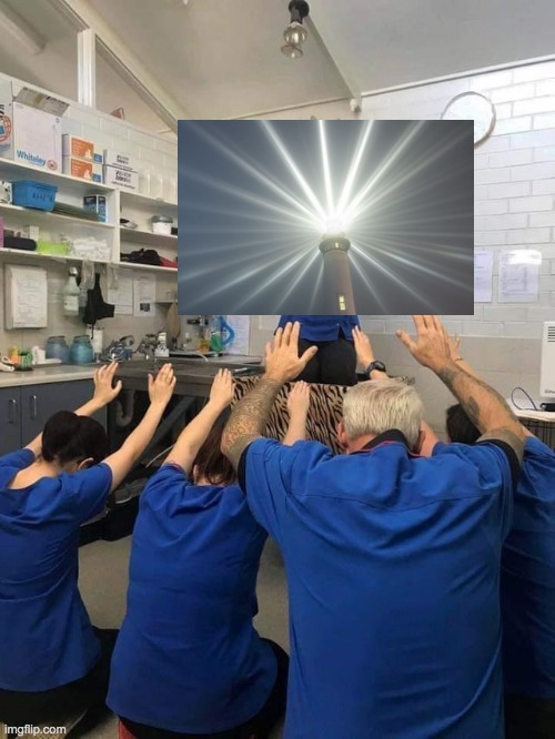 All Hail The Cat | image tagged in all hail the cat | made w/ Imgflip meme maker