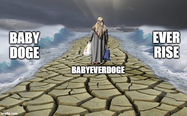 BabyEverDoge | EVER
RISE; BABY
DOGE; BABYEVERDOGE | image tagged in success | made w/ Imgflip meme maker