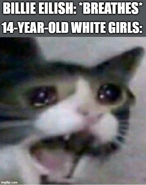bad guy lol | BILLIE EILISH: *BREATHES*; 14-YEAR-OLD WHITE GIRLS: | image tagged in crying cat,white girls | made w/ Imgflip meme maker