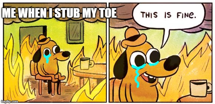 It's a world of pain. Gah. I just stubbed it. | ME WHEN I STUB MY TOE | image tagged in memes,this is fine | made w/ Imgflip meme maker