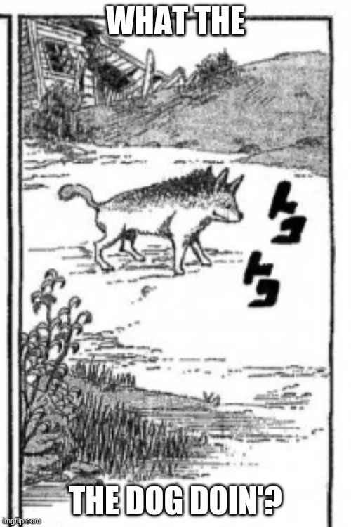 part 8 manga | WHAT THE; THE DOG DOIN'? | image tagged in jojo,dog,part 8,jojolion | made w/ Imgflip meme maker