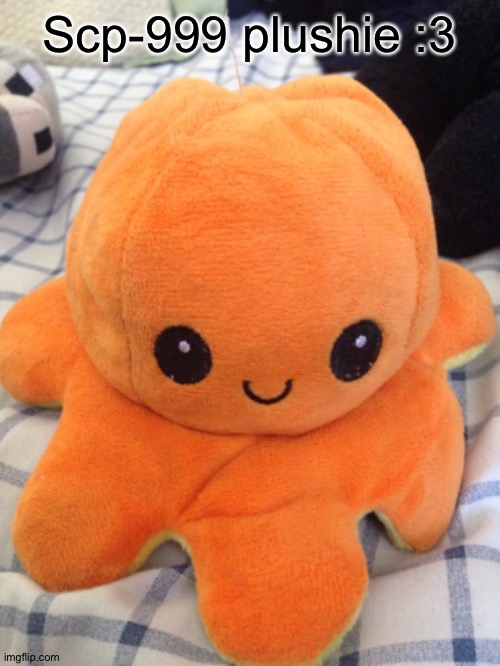 Cute | Scp-999 plushie :3 | image tagged in scp,plush,cute | made w/ Imgflip meme maker