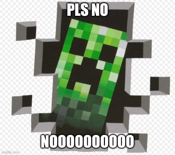 Minecraft Creeper | PLS NO NOOOOOOOOOO | image tagged in minecraft creeper | made w/ Imgflip meme maker