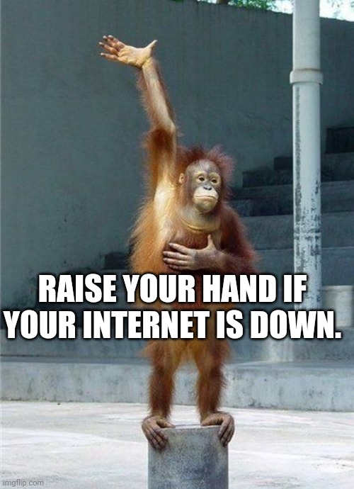 HAPPY AMAZON PRIME DAY !! | RAISE YOUR HAND IF YOUR INTERNET IS DOWN. | image tagged in monkey raising hand | made w/ Imgflip meme maker