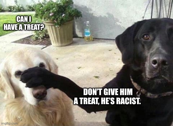 Dogs | CAN I HAVE A TREAT? DON’T GIVE HIM A TREAT, HE’S RACIST. | image tagged in dogs | made w/ Imgflip meme maker
