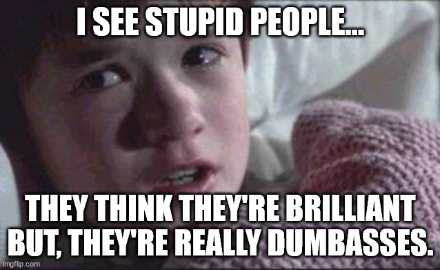 I See Dumbasses | I SEE STUPID PEOPLE... THEY THINK THEY'RE BRILLIANT BUT, THEY'RE REALLY DUMBASSES. | image tagged in i see dumbasses,dumbasses | made w/ Imgflip meme maker