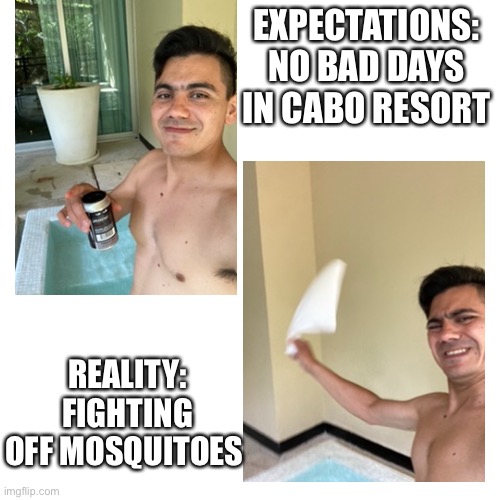 No bad days in Cabo vs Mosquitoes | EXPECTATIONS: NO BAD DAYS IN CABO RESORT; REALITY: FIGHTING OFF MOSQUITOES | image tagged in memes,blank transparent square | made w/ Imgflip meme maker