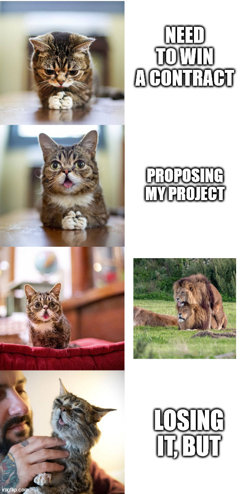 wanted to be a lion until | NEED TO WIN A CONTRACT; PROPOSING MY PROJECT; LOSING IT, BUT | image tagged in soumission,contract,lion,cat | made w/ Imgflip meme maker