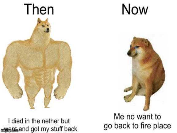 Haha funny | image tagged in minecraft,nether,buff doge vs cheems,funny | made w/ Imgflip meme maker