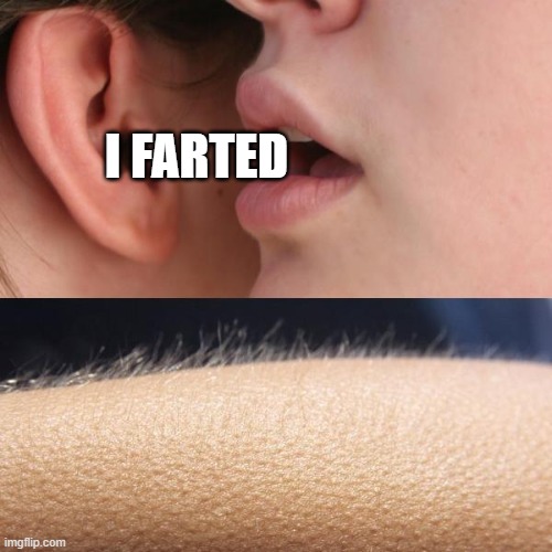 fart | I FARTED | image tagged in whisper and goosebumps | made w/ Imgflip meme maker