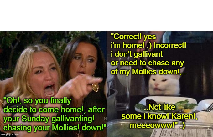 Woman Yelling At Cat Meme | "Correct! yes i'm home! :) Incorrect! i don't gallivant or need to chase any of my Mollies down!,.. "Oh!, so you finally decide to come home!, after your Sunday gallivanting! chasing your Mollies! down!"; ..Not like some i know! Karen!, meeeowww!" :) | image tagged in memes,woman yelling at cat | made w/ Imgflip meme maker