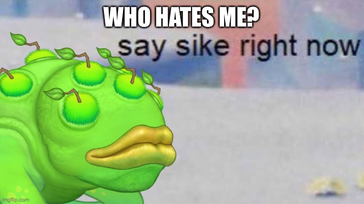 Brump say sike right now | WHO HATES ME? | image tagged in brump say sike right now | made w/ Imgflip meme maker