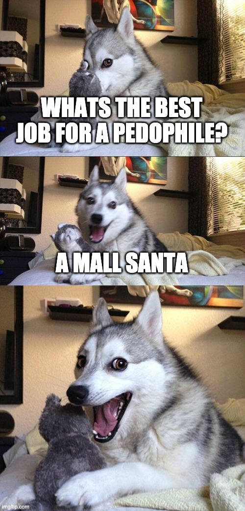 Not a pun, but still funny | WHATS THE BEST JOB FOR A PEDOPHILE? A MALL SANTA | image tagged in memes,bad pun dog | made w/ Imgflip meme maker
