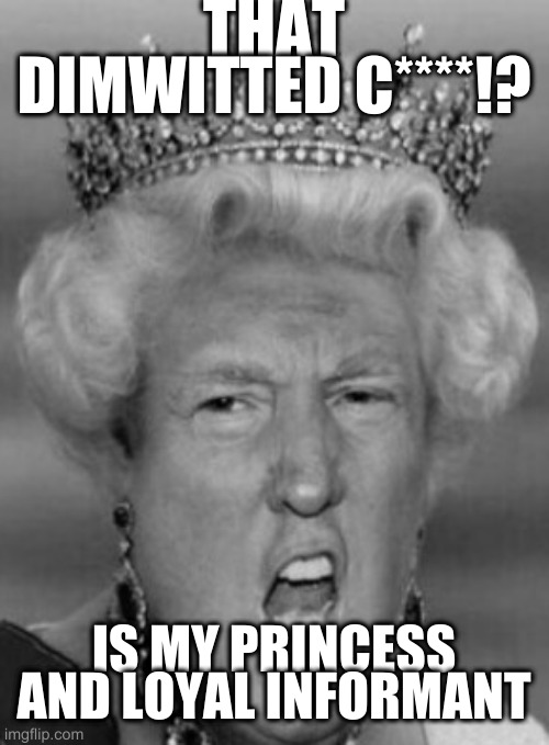 mother would be so proud if she were alive to ee this | THAT DIMWITTED C****!? IS MY PRINCESS AND LOYAL INFORMANT | image tagged in her majesty t rump,rumpt | made w/ Imgflip meme maker