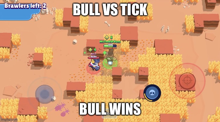Bull Vs Tick | BULL VS TICK; BULL WINS | image tagged in when a tick runs into a bull | made w/ Imgflip meme maker
