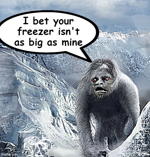 I bet your freezer isn't as big as mine | made w/ Imgflip meme maker